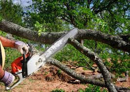 Mulching Services in Lufkin, TX